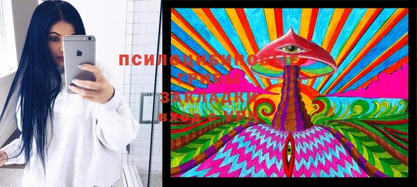 хмурый Осташков