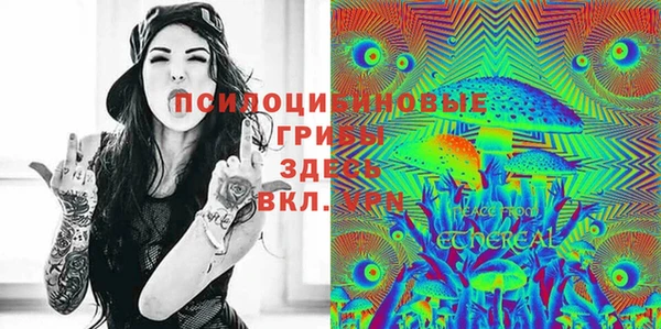 apvp Нязепетровск