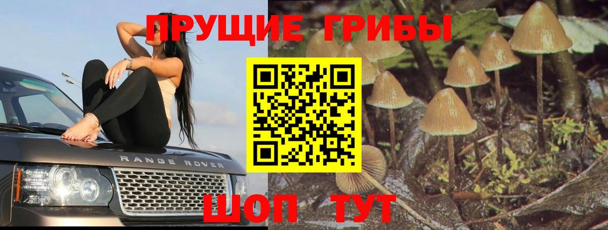 Галлюциногенные грибы GOLDEN TEACHER Серпухов