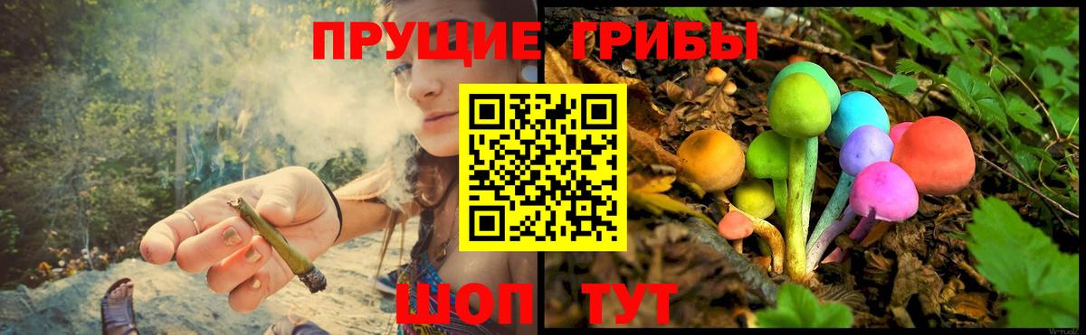Серпухов  Псилоцибиновые грибы Psilocybine cubensis  Псилоцибиновые грибы мицелий  Вход с VPN 