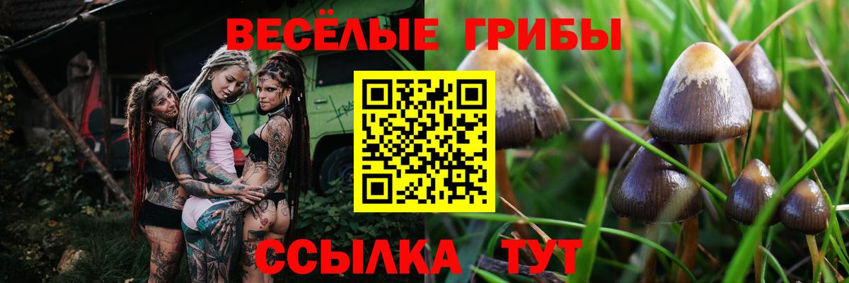 Псилоцибиновые грибы прущие грибы Серпухов